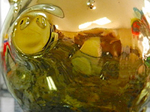 s-DSCN0305-1.jpg