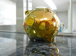s-DSCN0305.jpg