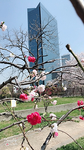 ss-IMG_0221.jpg
